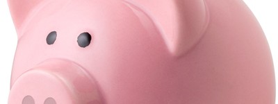 pink piggy bank