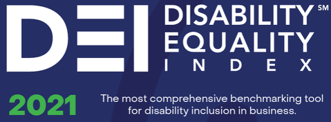 What is a disability-friendly organization?