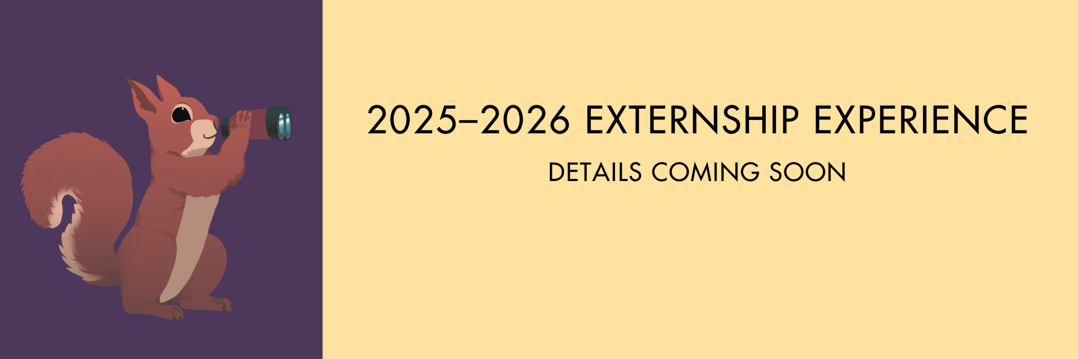 The 2025–2026 Externship Experience with details to come soon
