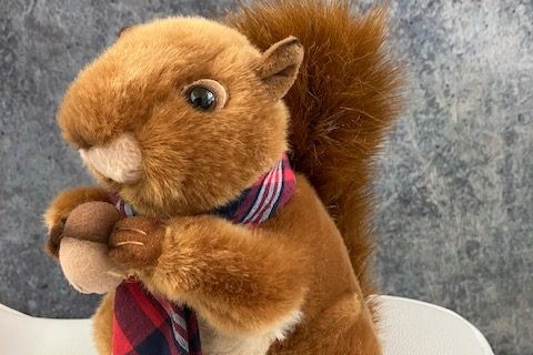 Sherman a stuffed animal squirrel wearing a plaid tie